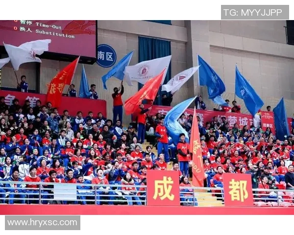 成都排球队的逆袭之路：从默默无闻到荣耀巅峰的奋斗纪实